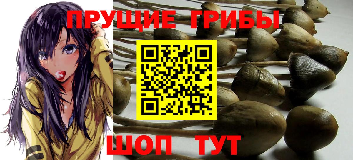 Лыткарино  хочу   Вход с VPN  Галлюциногенные грибы мухоморы 
